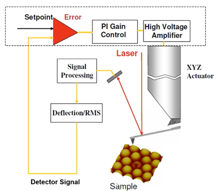 AFM 裝置設定與反饋示意圖