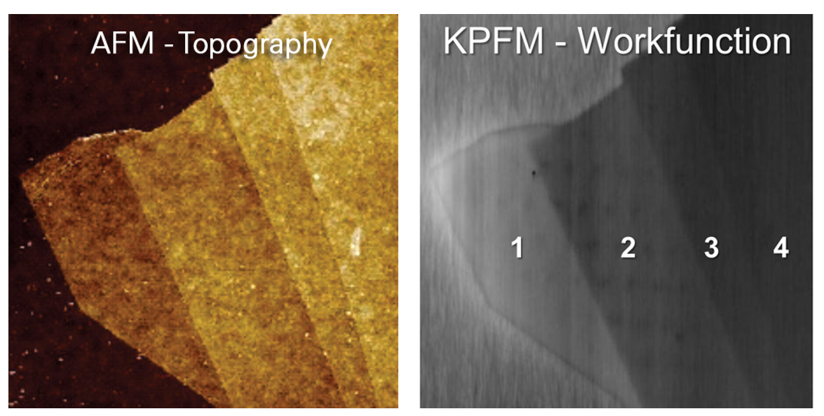 AFM 和 KPFM 用於石墨烯的研究