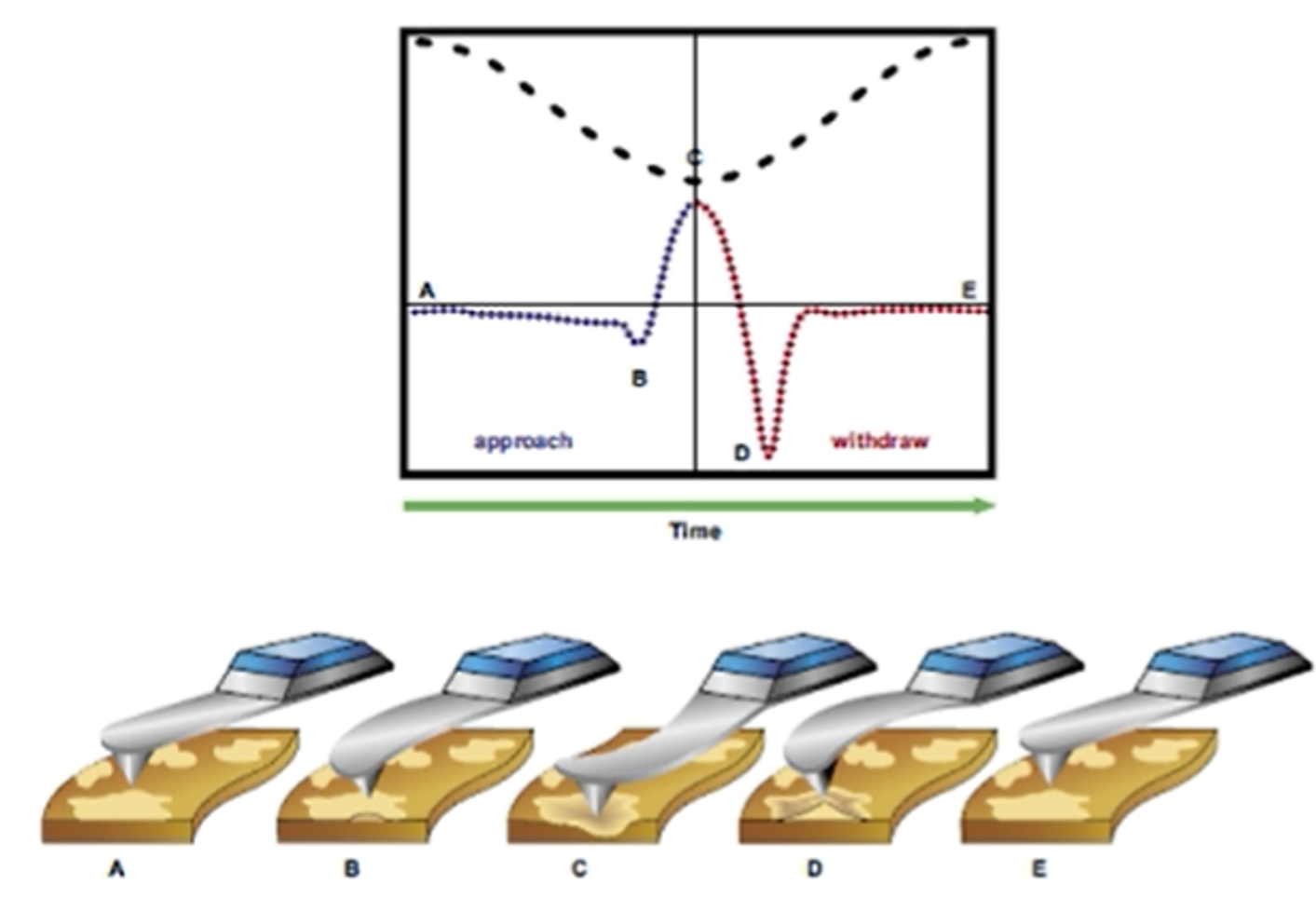 峰值力輕敲模式示意圖