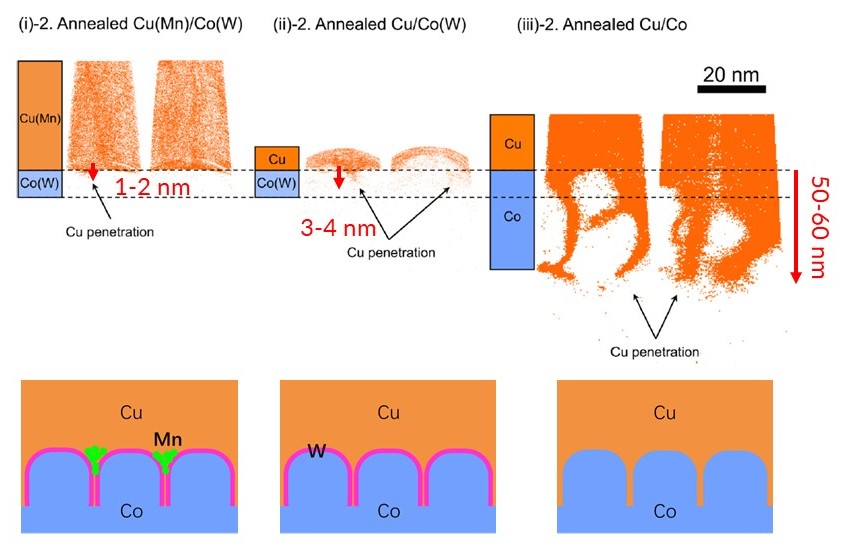 APT 應用於銅互連擴散分析