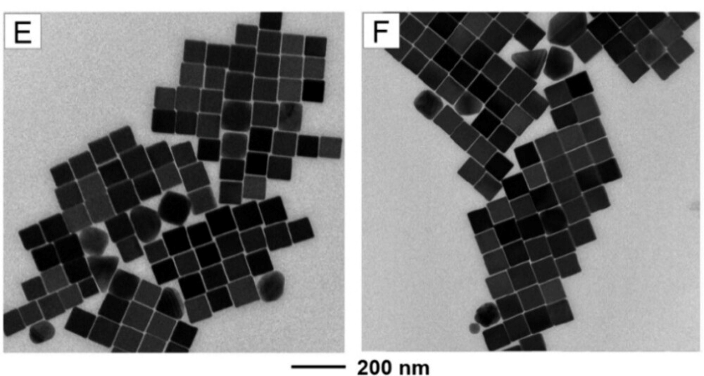 金屬奈米立方體明場 TEM 影像